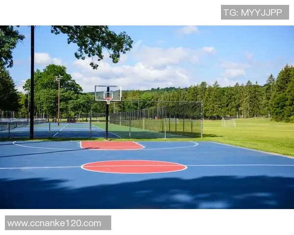 足球明星居住地分析：哪些城市最适合球员生活与比赛便利性